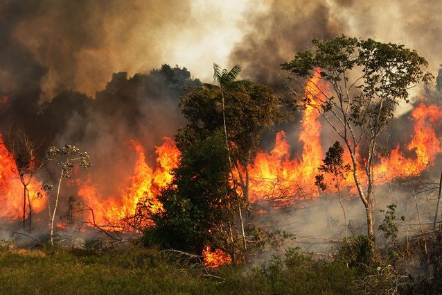 Amazzonia brasiliana in fiamme
