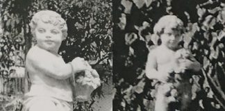 Il mistero dei putti in pietra di Vicenza spariti nella notte da un giardino in viale Dal Verme I putti spariti