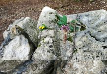 La foiba vicentina dimenticata: nel bosco di Tonezza solo alcuni sassi coprono il “sangue dei vinti” della Rossetta foiba Rossetta