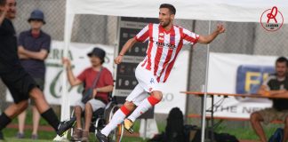 LR Vicenza ufficializza Matteo Liviero, veterano della B