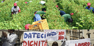 M5S e UGL Veneto: caporalato in Veneto, allarme sociale ed economico Caporalato e precariato