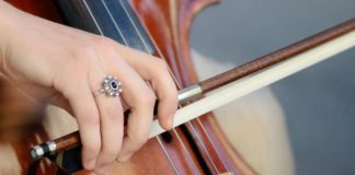 Weekend d’agosto con Bach a Palazzo Chiericati