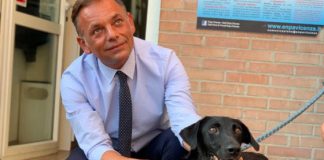 Giornata internazionale del cane, appello del vicesindaco per sostenere il canile di Gogna