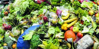 Dopo tre anni di lavoro si conclude il progetto europeo “Slow Food-Central Europe” spreco alimentare