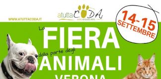 ‘Atuttacoda’ Expo Around Pets