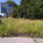 Fiera di Vicenza, Ciro Asproso: lo splendore di ViOff, lo squallore dei luoghi per gli scambi commerciali Fiera di Vicenza, aiuole di ingresso al Centro Orafi