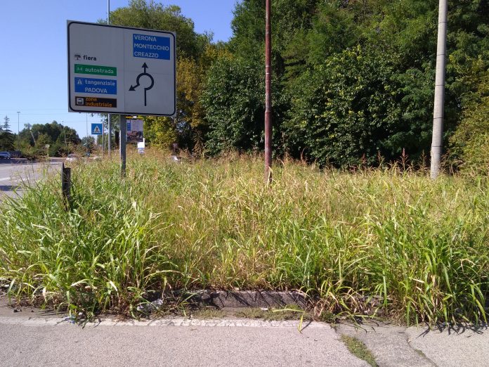 Fiera di Vicenza, aiuole di ingresso al Centro Orafi