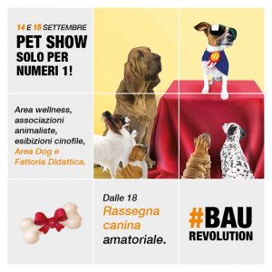 CC PALLADIO PETSHOW