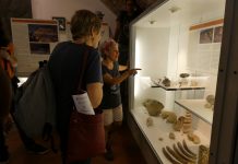 Studiare i coralli fossili al Museo Zannato di Montecchio Maggiore per capire la risposta della biosfera ai cambiamenti globali