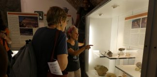 Studiare i coralli fossili al Museo Zannato di Montecchio Maggiore per capire la risposta della biosfera ai cambiamenti globali