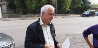 Progetto alberature, 26 nuovi frassini in via Rossini