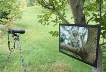 Campodalbero di Crespadoro, fra natura selvaggia e recupero dei sentieri