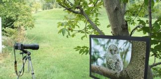 Campodalbero di Crespadoro, fra natura selvaggia e recupero dei sentieri