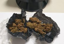 Campo Marzo, marijuana vicino al parco giochi e bengalese coi coltellini svizzeri