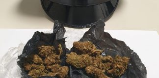 Campo Marzo, marijuana vicino al parco giochi e bengalese coi coltellini svizzeri