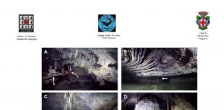 Montecchio Maggiore: Minerali e fossili della grotta dei Mulini di Alonte, storia di un recupero avventuroso