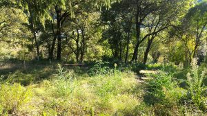 Il parco ex colonia Bedin Aldighieri