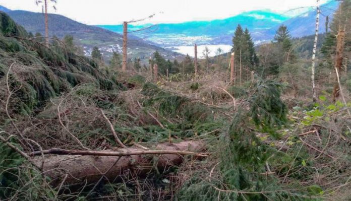 I danni della tempesta Vaia