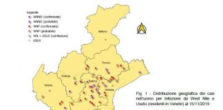 Febbre West Nile, anno “tranquillo” per infezioni: a Vicenza solo 6 casi
