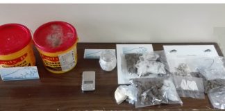 Sotto il secchiello 54 dosi di eroina e nella siepe un bilancino: scovati dal cane della polizia eroina