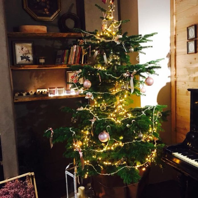 christmas-tree-vicenza-696x696