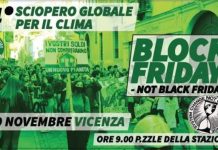 Fridays for future Vicenza: quarto sciopero globale climatico