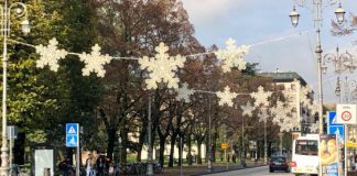 Natale 2019, fiocchi di neve in centro e albero di Natale vero in piazza dei Signori
