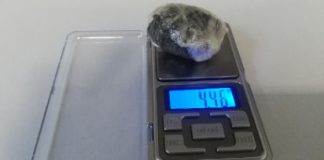 Polizia locale, grazie alle telecamere sequestrata marijuana in viale Milano