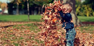 Problemi del neurosviluppo, 12 nidi e 100 educatori coinvolti nel progetto “I precursori”