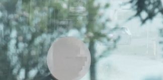 Ndrangheta in Veneto e Lombardia, intimidazioni e pestaggio a nipote e cognata per soldi: una perquisizione nel vicentino Ndrangheta