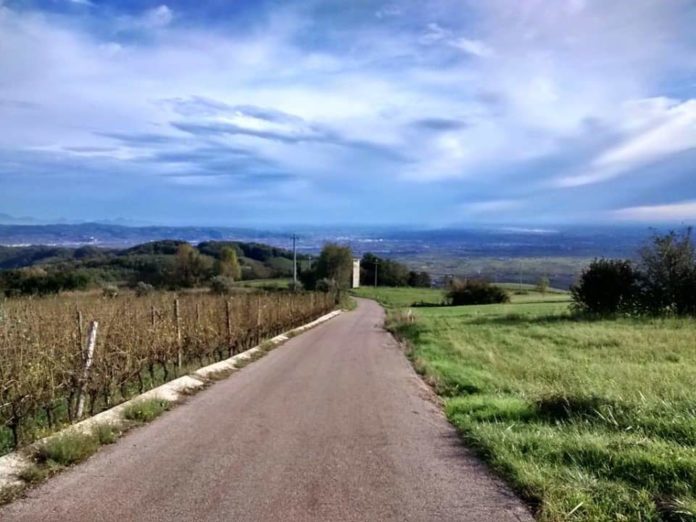 nordic-in-arzignano-696x522