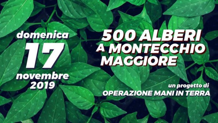 piantiamo-500-alberi-696x392