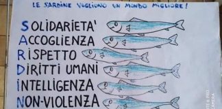 Sardine, assessore Giovine e Listrani del tavolo commercianti: “no in piazza dei Signori” sardine