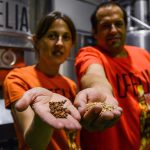 Birrificio Ofelia, una storia fermentata per 5 anni