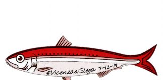 Sardine di Vicenza pronte a riempire piazza Matteotti sabato alle 19: “sarà una festa” il pesce biancorosso delle Sardine di Vicenza