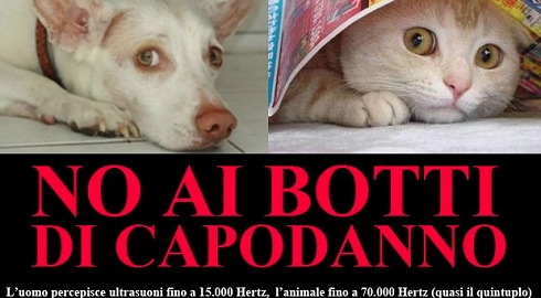 No ai botti di capodanno a tutela degli animali