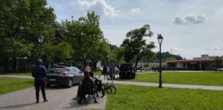 Blitz della Polizia locale nei parchi: marijuana nascosta sotto le foglie