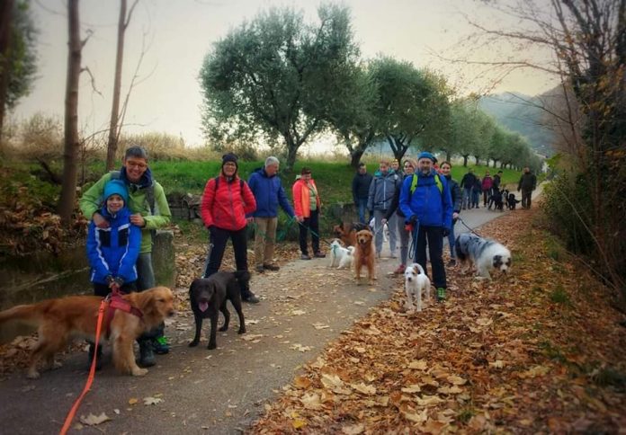 solagna-santo-stefano-passeggiata
