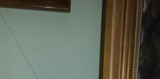 Scandalo bus Svt, condominio di viale Milano esasperato: “smog, crepe e vibrazioni”. Appello a Rucco: “finora solo silenzi”