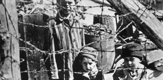 Giorno della memoria 2022, Guarda (EV): “Dobbiamo essere testimoni attivi, perché le radici di quella tragedia non sono state rimosse” Il giorno della memoria, sempre