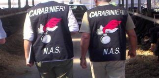 Controllo ispettivo dei Carabinieri rileva irregolarità igienico sanitarie: multa e chiusura per il Mini Bar di corso San Felice a Vicenza carabinieri di vicenza e nas di padova chiudono locale per inadempienze sanitarie