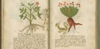 “L’Oro di Pigafetta”, a Palazzo Cordellina la mostra “Le spezie nei libri antichi della Bertoliana”