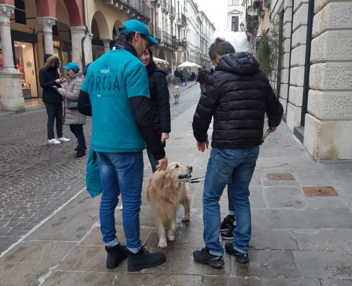 2020-02-01_5e35aa135fb54_PrevenzionedrogheVicenza1