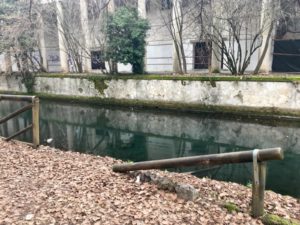 Degrado al Giardino Salvi