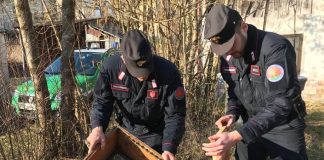 Miele da Est Europa e Centro America “spacciato” per italiano: Forestali scovano 56enne di Sarcedo Forestali miele