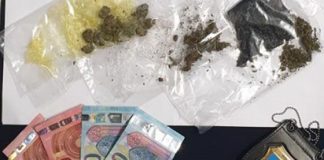 Polizia locale, sequestrata marijuana e cocaina nel parco di villa Tacchi