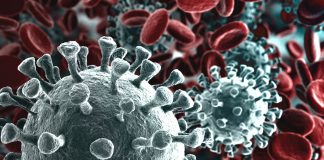 Coronavirus, il bollettino nazionale: lieve calo di contagi, ma nessuna regione è a zero Coronavirus Covid 19