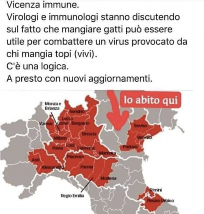 Immuni dal Coronavirus i vicentini... magnagatti