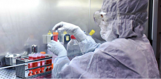 Covid Veneto e province al 31 agosto: 583 contagi (+82,8%), area medica occupata al 3,3%, intensiva al 4,9% 7. Superati 3 milioni di vaccinati (68,7%) Coronavirus: trovata 13b, molecola che blocca il motore. Primi test sui topi positivi (Il fatto quotidiano)