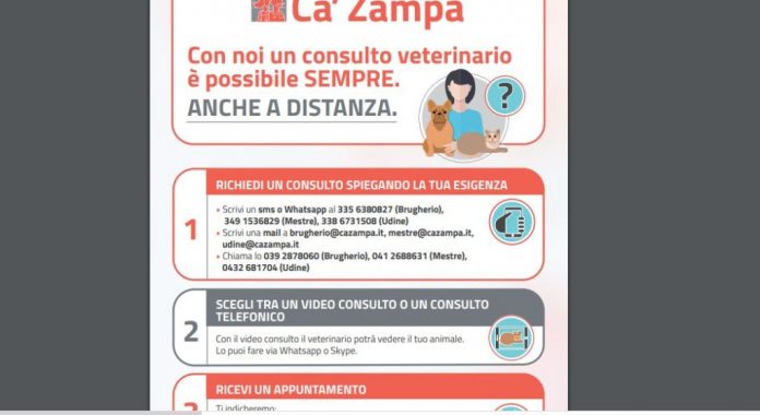 ca-zampa-1024x559-1